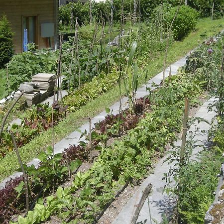 Coglio Eco-Hotel Cristallina מראה חיצוני תמונה